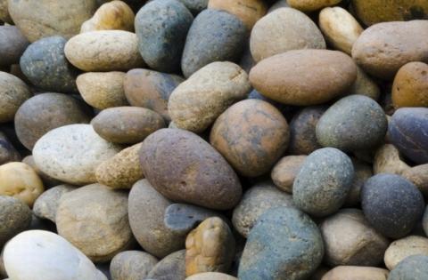 khả năng ăn uống kỳ lạ4